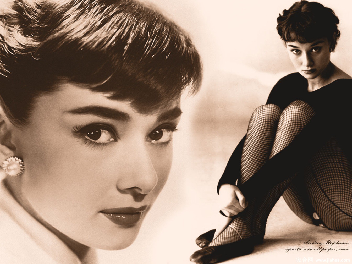 [CELEBRITY PANTYHOSE]Audrey Hepburn in nylon stockings,pantyhose,tights[6]