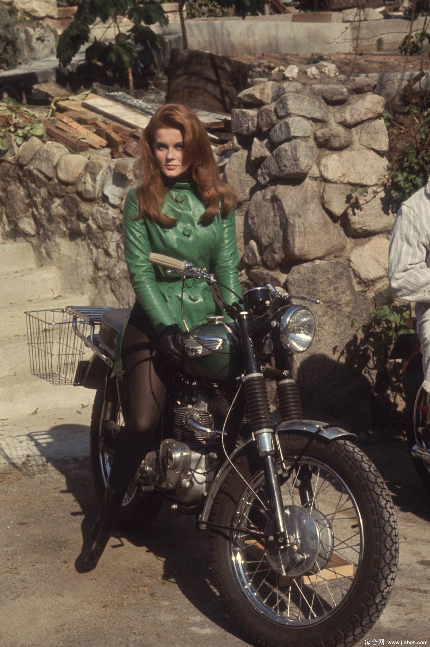 [CELEBRITY NYLON]Ann Margret in nylon stockings,pantyhose,tights 2[6]