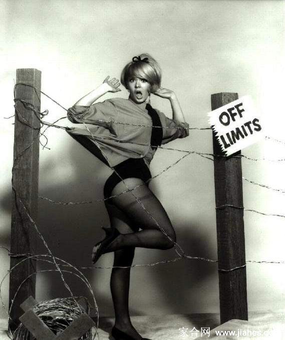 [CELEBRITY NYLON]Joey Heatherton in nylon stockings,pantyhose,tights[6]