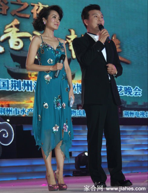 央视主持人管彤 丝袜高跟美腿[20]