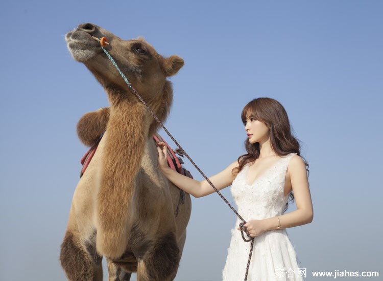 女神柳岩沙漠性感写真