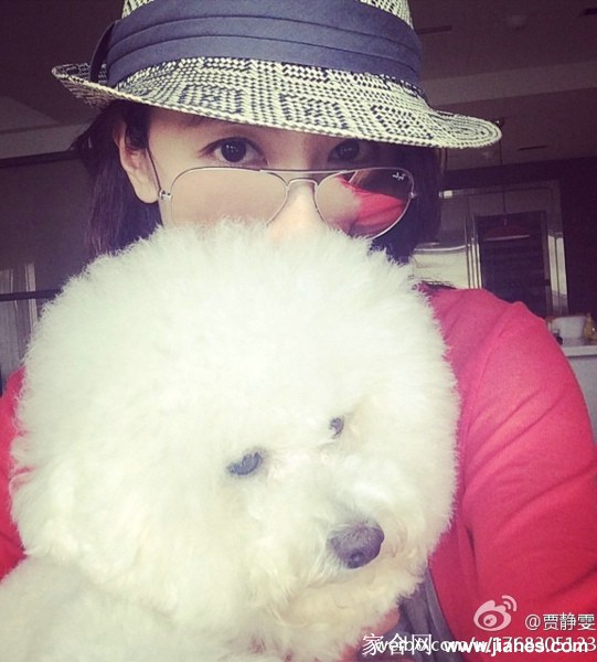 生活中的气质美女贾静雯[4]