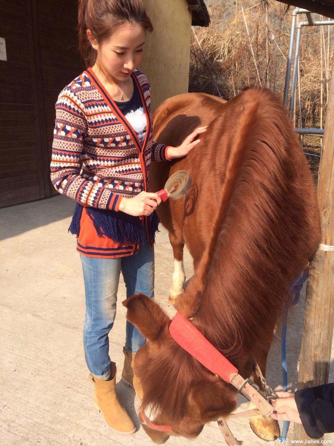 张子萱生活照,张子萱丝袜,张子萱高跟,张子萱长腿,张子萱黑丝,张子萱性感照,张子萱性感短裙[6]