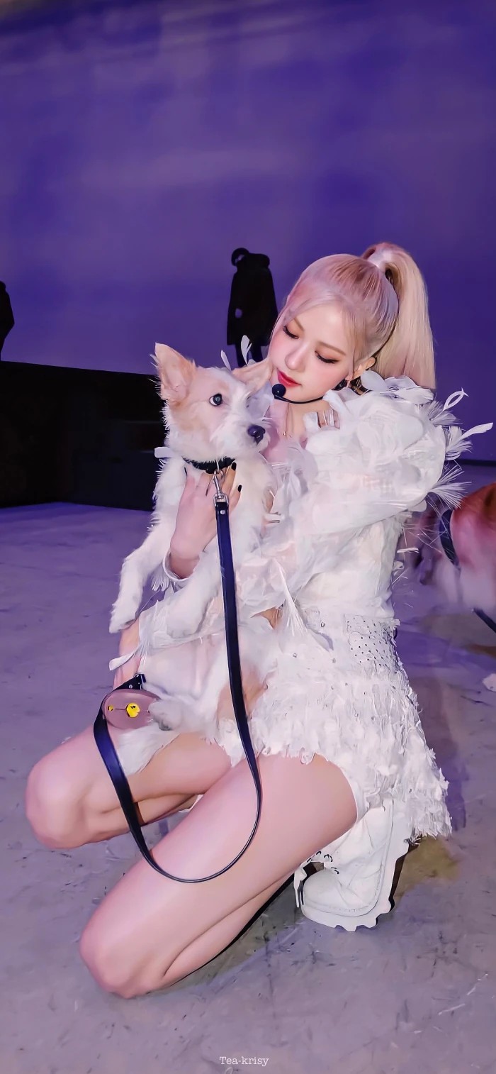 朴彩英坐姿优雅显大长腿[6]